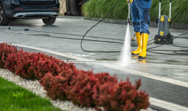 Best Solar Panel Cleaning  in Ojai, CA